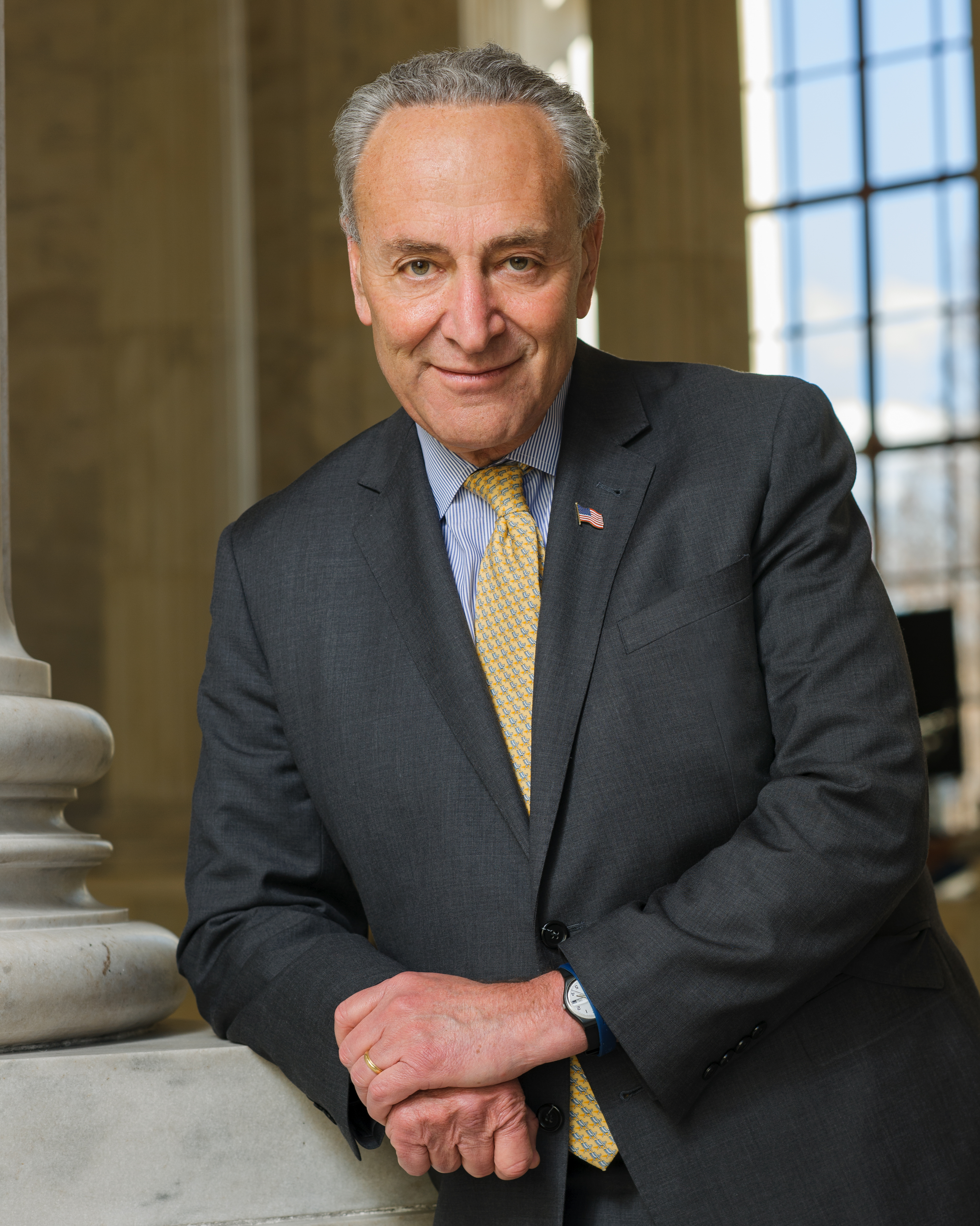 Official Portrait of Chuck Schumer