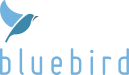 Bluebird Logo